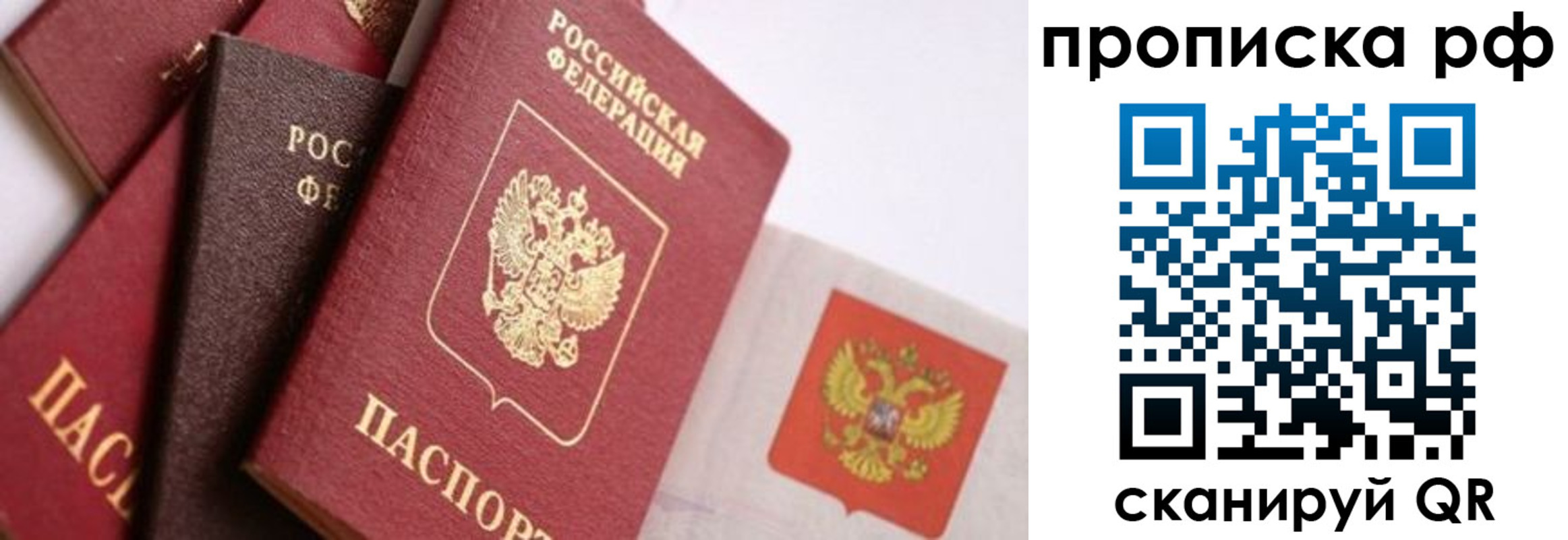 найти адрес прописки в Плавске
